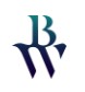 BN Logo